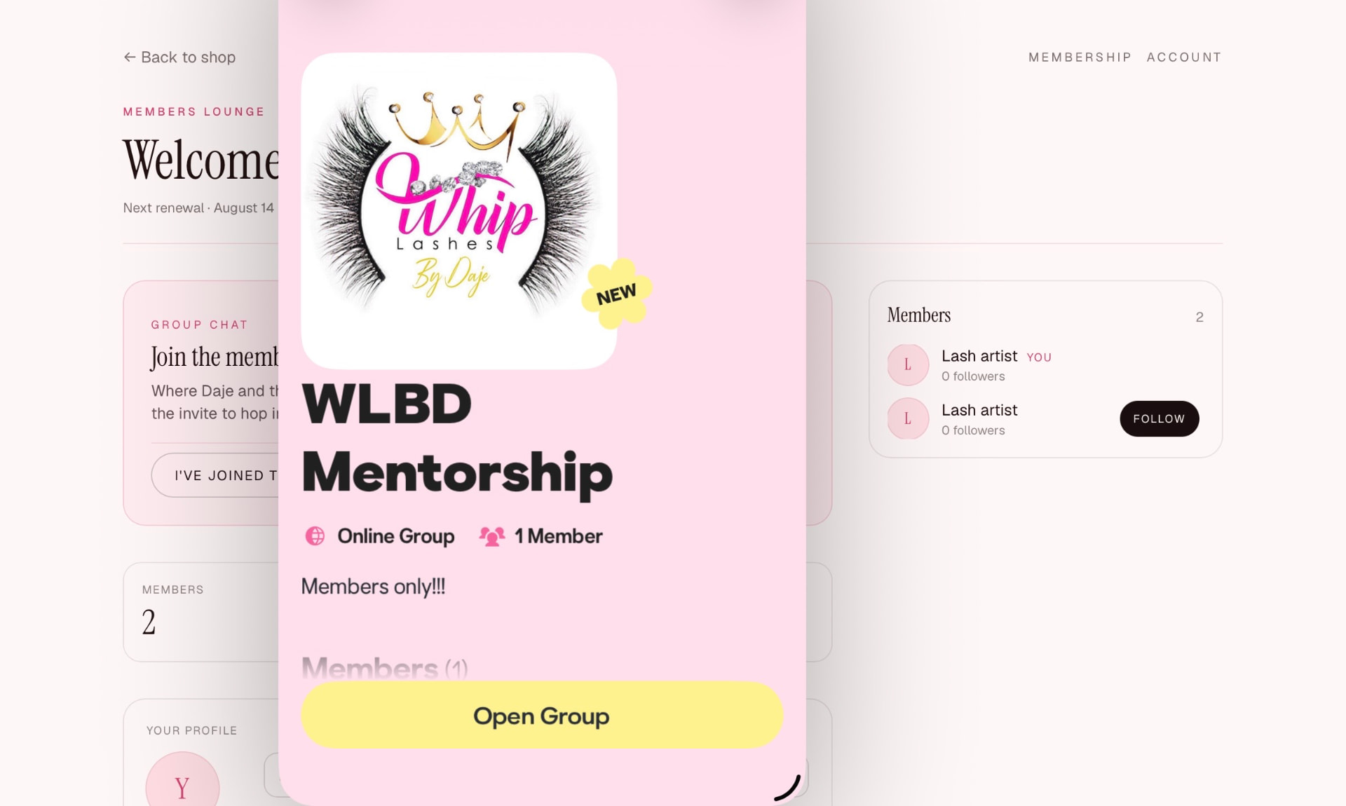 WLBD mentorship community app built by DB Asset Vault